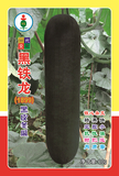 黑铁龙1899冬瓜