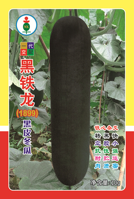 黑铁龙1899冬瓜