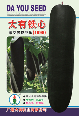 大有铁心1998冬瓜