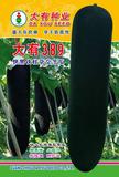 大有389冬瓜