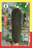 铁战士555冬瓜