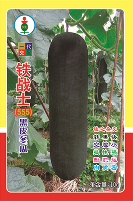 铁战士555冬瓜