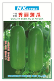 秀丽蒲瓜