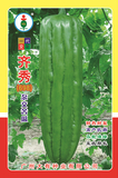 大有齐秀杂交苦瓜