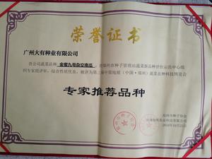 金蜜九号南瓜.jpg