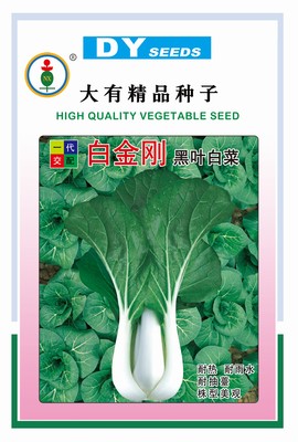 白金刚黑叶白菜