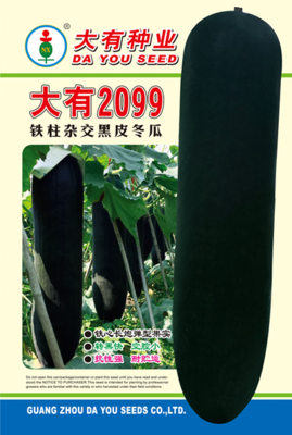 大有2099冬瓜