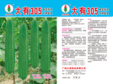 大有305大肉花点丝瓜