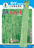 齐丰油白豆角