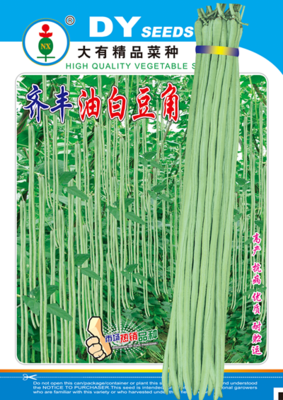 齐丰油白豆角